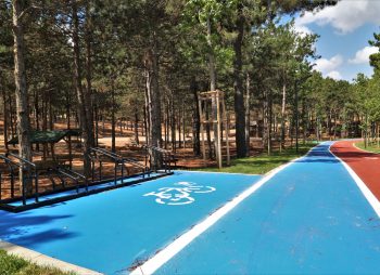 sultan - korusu - sultanbeyli - belediyesi - 1