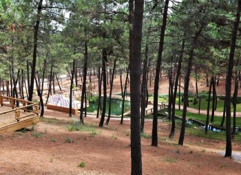 sultan - korusu - sultanbeyli - belediyesi - 10