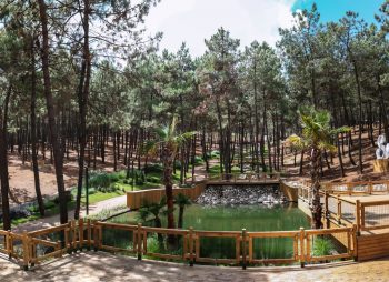 sultan - korusu - sultanbeyli - belediyesi - 2