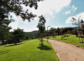 sultan - korusu - sultanbeyli - belediyesi - 5