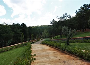 sultan - korusu - sultanbeyli - belediyesi - 6