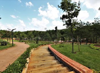 sultan - korusu - sultanbeyli - belediyesi - 7