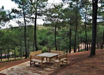 sultan - korusu - sultanbeyli - belediyesi - 8